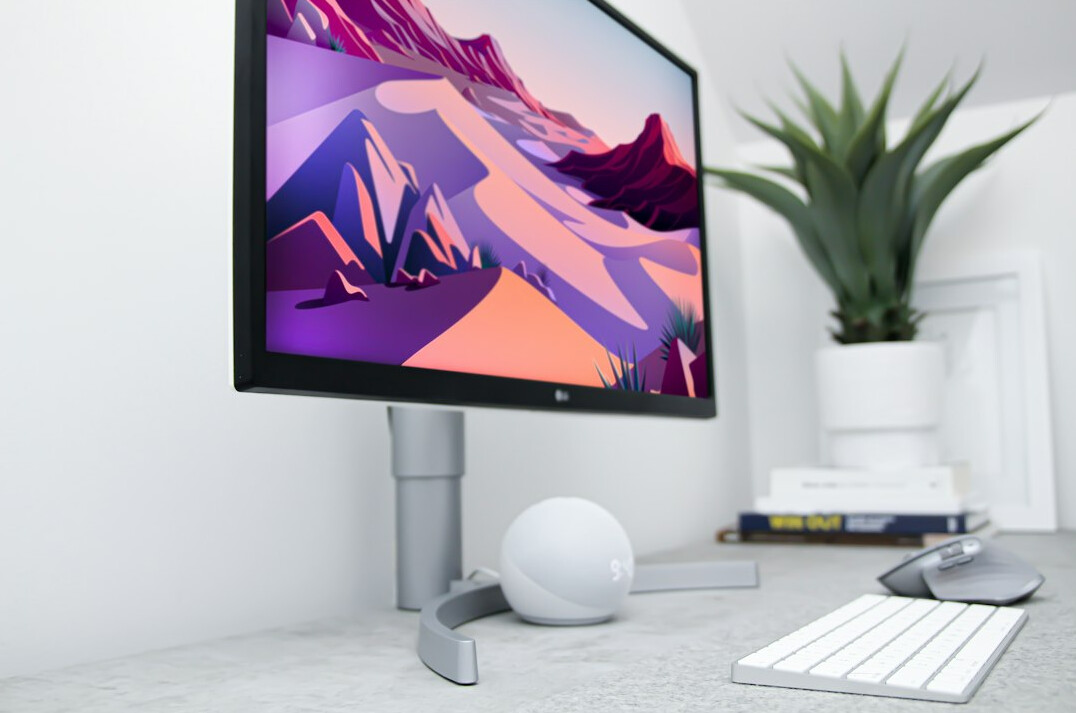 Modern bright office workspace with desk, plants and monitor